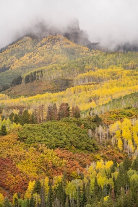 Picture of USA-COLORADO-UNCOMPAHGRE NATIONAL FOREST CLOUD AND AUTUMN-COLORED FOREST