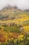 Picture of USA-COLORADO-UNCOMPAHGRE NATIONAL FOREST CLOUD AND AUTUMN-COLORED FOREST