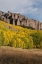 Picture of USA-COLORADO-UNCOMPAHGRE NATIONAL FOREST MOUNTAIN AND FOREST IN AUTUMN