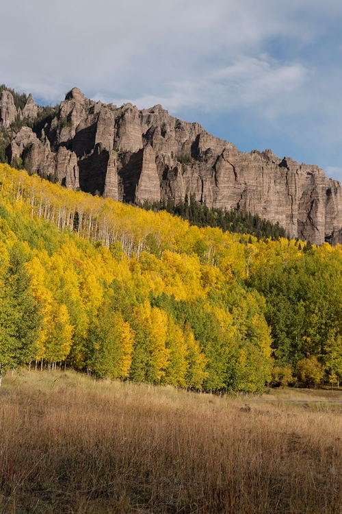 Picture of USA-COLORADO-UNCOMPAHGRE NATIONAL FOREST MOUNTAIN AND FOREST IN AUTUMN