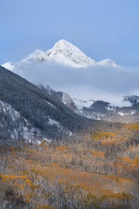Picture of USA-COLORADO-UNCOMPAHGRE NATIONAL FOREST AUTUMN SUNRISE ON WILSON PEAK AND SNOWY FOREST IN VALLEY