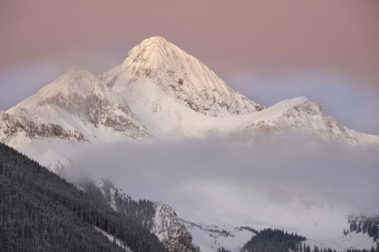 Picture of USA-COLORADO-UNCOMPAHGRE NATIONAL FOREST AUTUMN SUNRISE ON WILSON PEAK