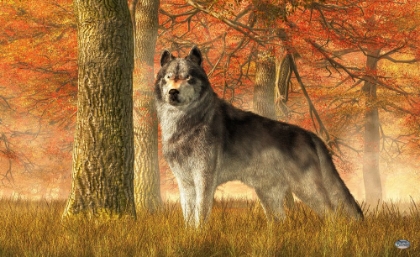Picture of A WOLF IN AUTUMN