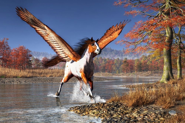 Picture of AUTUMN PEGASUS