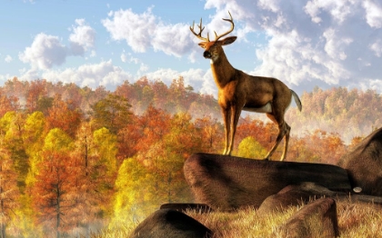 Picture of BUCK OVER AUTUMN VALLEY