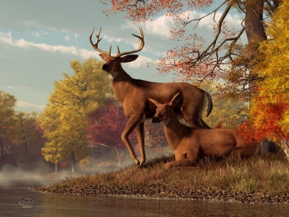 Picture of DEER ON AN AUTUMN LAKESHORE