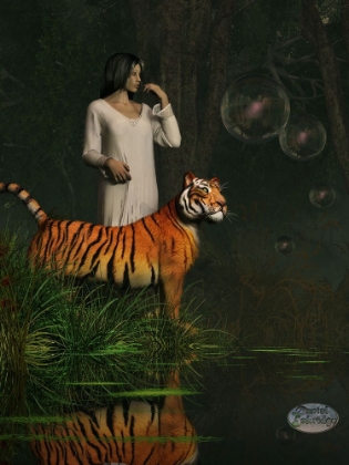 Picture of DREAMS OF TIGERS AND BUBBLES