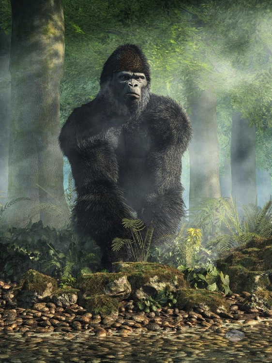 Picture of GORILLA