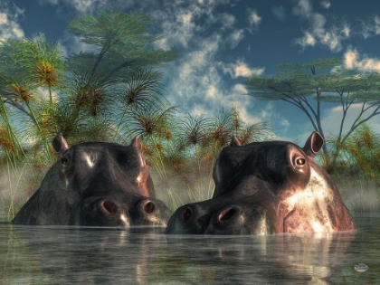 Picture of HIPPOS COMING TO GET YOU
