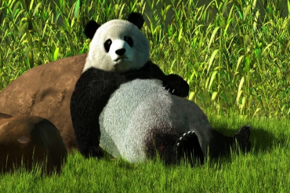 Picture of RECLINING PANDA