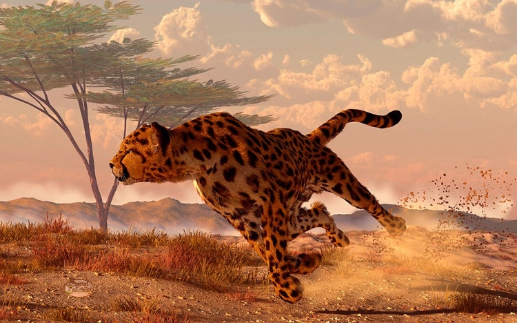 Picture of SPEEDING CHEETAH