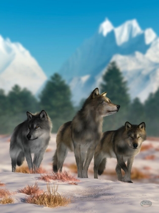 Picture of THREE WOLVES