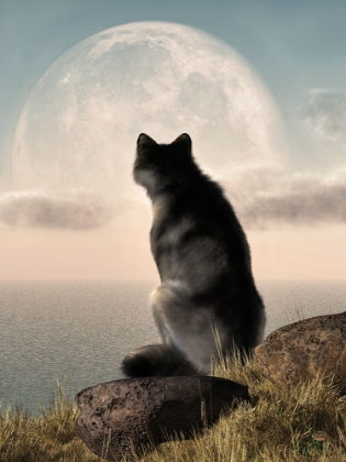 Picture of WOLF WATCHING THE MOONRISE