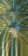 Picture of WARP DRIVE