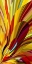 Picture of CANDLE FLAME