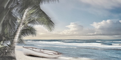 Picture of PALM TREES AND A BOAT B