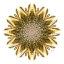 Picture of GOLD GLASS STAR