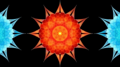 Picture of STARFISH-SIDE