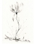 Picture of GROW ON