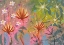 Picture of GARDEN BURST