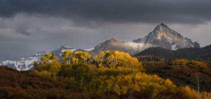 Picture of USA-COLORADO-UNCOMPAHGRE NATIONAL FOREST PANORAMIC OF SUNSET ON ASPEN FOREST BELOW MT SNEFFELS