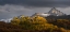 Picture of USA-COLORADO-UNCOMPAHGRE NATIONAL FOREST PANORAMIC OF SUNSET ON ASPEN FOREST BELOW MT SNEFFELS
