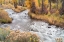 Picture of USA-COLORADO-WHITE RIVER NATIONAL FOREST FRYINGPAN RIVER AND AUTUMN FOLIAGE