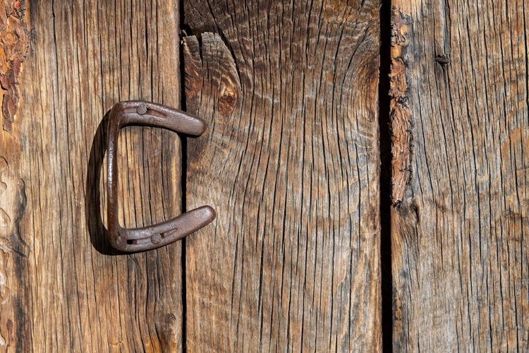 Picture of USA-COLORADO-WESTCLIFFE OLD WOODEN BARN WALL WITH BENT HORSESHOE HANDLE