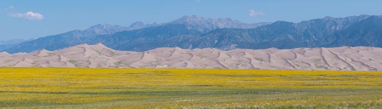 Picture of USA-COLORADO-SAN LUIS VALLEY-GREAT SAND DUNES NATIONAL PARK