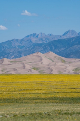 Picture of USA-COLORADO-SAN LUIS VALLEY-GREAT SAND DUNES NATIONAL PARK