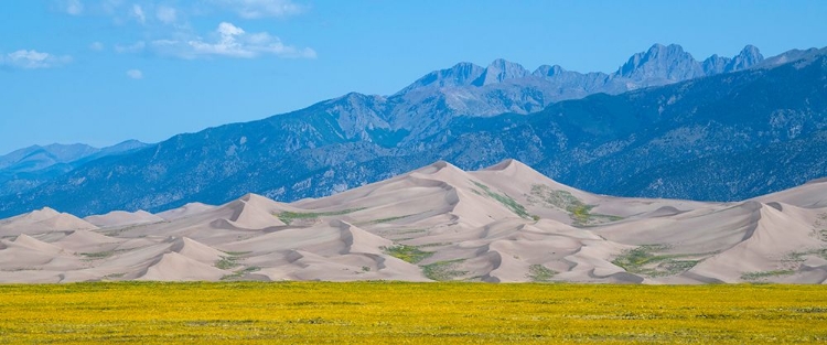 Picture of USA-COLORADO-SAN LUIS VALLEY-GREAT SAND DUNES NATIONAL PARK