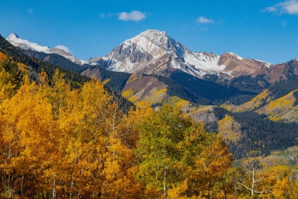 Picture of MAROON BELLS-SNOWMASS WILDERNESS IN OCTOBER