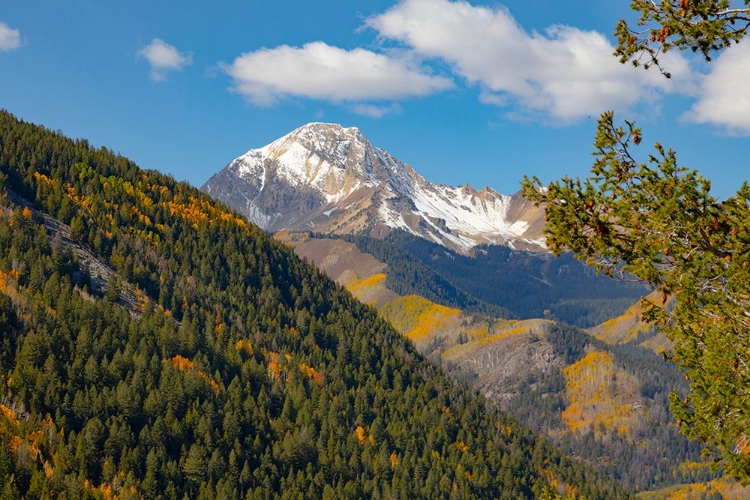 Picture of MAROON BELLS-SNOWMASS WILDERNESS IN ASPEN