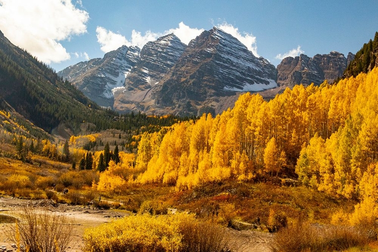 Picture of MAROON BELLS-SNOWMASS WILDERNESS IN ASPEN-COLORADO IN AUTUMN