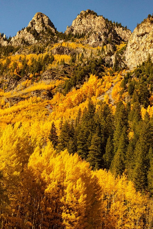 Picture of MOUNTAINS SURROUNDING THE MAROON BELLS-SNOWMASS WILDERNESS IN ASPEN-COLORADO