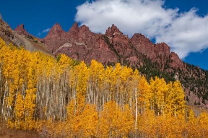 Picture of MAROON BELLS-SNOWMASS WILDERNESS OF COLORADO-RED ROCK CLIFFS