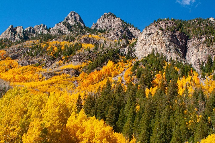 Picture of ASPEN-COLORADO MAROON BELLS-SNOWMASS WILDERNESS