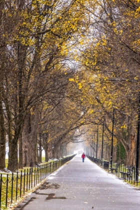 Picture of USA-DISTRICT OF COLUMBIA-A SNOWY AFTERNOON