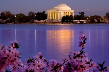 Picture of THE JEFFERSON MEMORIAL AND TIDAL BASIN IN APRIL WITH CHERRY BLOSSOMS-WASHINGTON DC