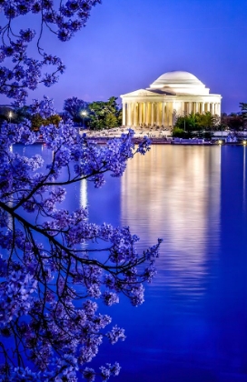Picture of THE JEFFERSON MEMORIAL WITH CHERRY BLOSSOMS AT THE TIDAL BASIN-WASHINGTON DC