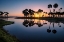 Picture of SABLE PALMS SILHOUETTED AT SUNRISE ON THE ECONLOCKHATCHEE RIVER