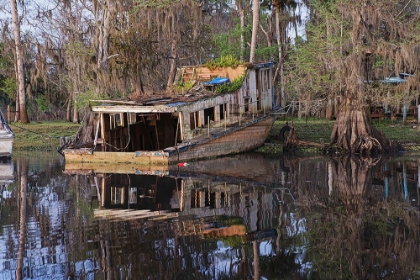 Picture of EARLY SPRING VIEW OF OLD ABANDONED BOAT-BLACKWATER AREA OF ST JOHNS RIVER-CENTRAL FLORIDA