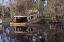 Picture of EARLY SPRING VIEW OF OLD ABANDONED BOAT-BLACKWATER AREA OF ST JOHNS RIVER-CENTRAL FLORIDA