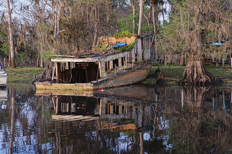 Picture of EARLY SPRING VIEW OF OLD ABANDONED BOAT-BLACKWATER AREA OF ST JOHNS RIVER-CENTRAL FLORIDA