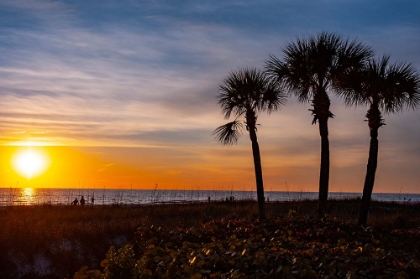 Picture of USA-FLORIDA-SARASOTA-CRESCENT BEACH-SIESTA KEY-SUNSET