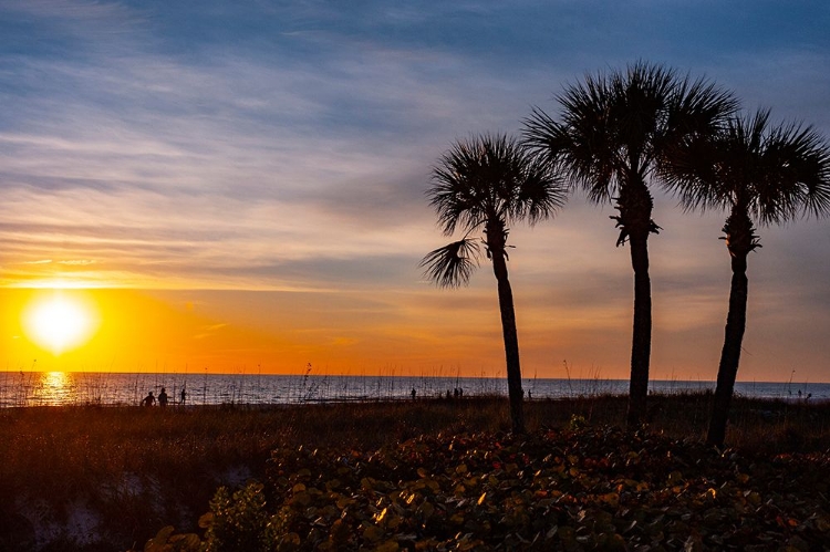 Picture of USA-FLORIDA-SARASOTA-CRESCENT BEACH-SIESTA KEY-SUNSET
