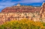 Picture of COLORFUL YELLOW COTTONWOOD TREES WHITE RED MOUNTAIN AUTUMN-CANYONLANDS NATIONAL PARK-NEEDLES DISTRI