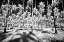 Picture of USA-HAWAII-KAUAI-INFRARED OF PALM TREES OF KAUAI