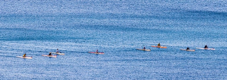 Picture of CANOE CLUB EXERCISING-WAIKIKI-OAHU-HAWAII