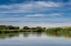 Picture of USA-IDAHO-TETON RIVER-WILLOWS AND WETLAND NEAR DRIGGS